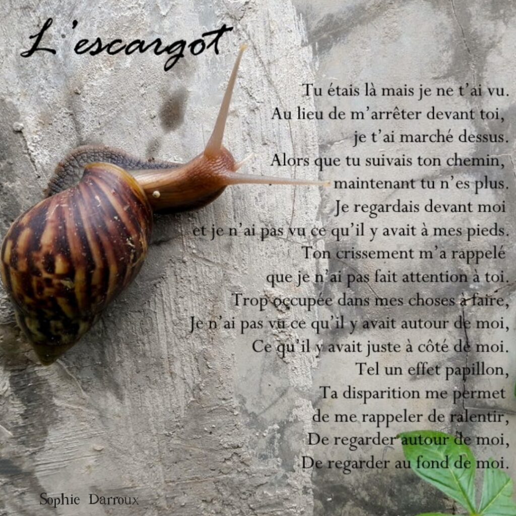 Texte en écriture intuitive tiré de Inspirations lumineuses de Sophie Darroux