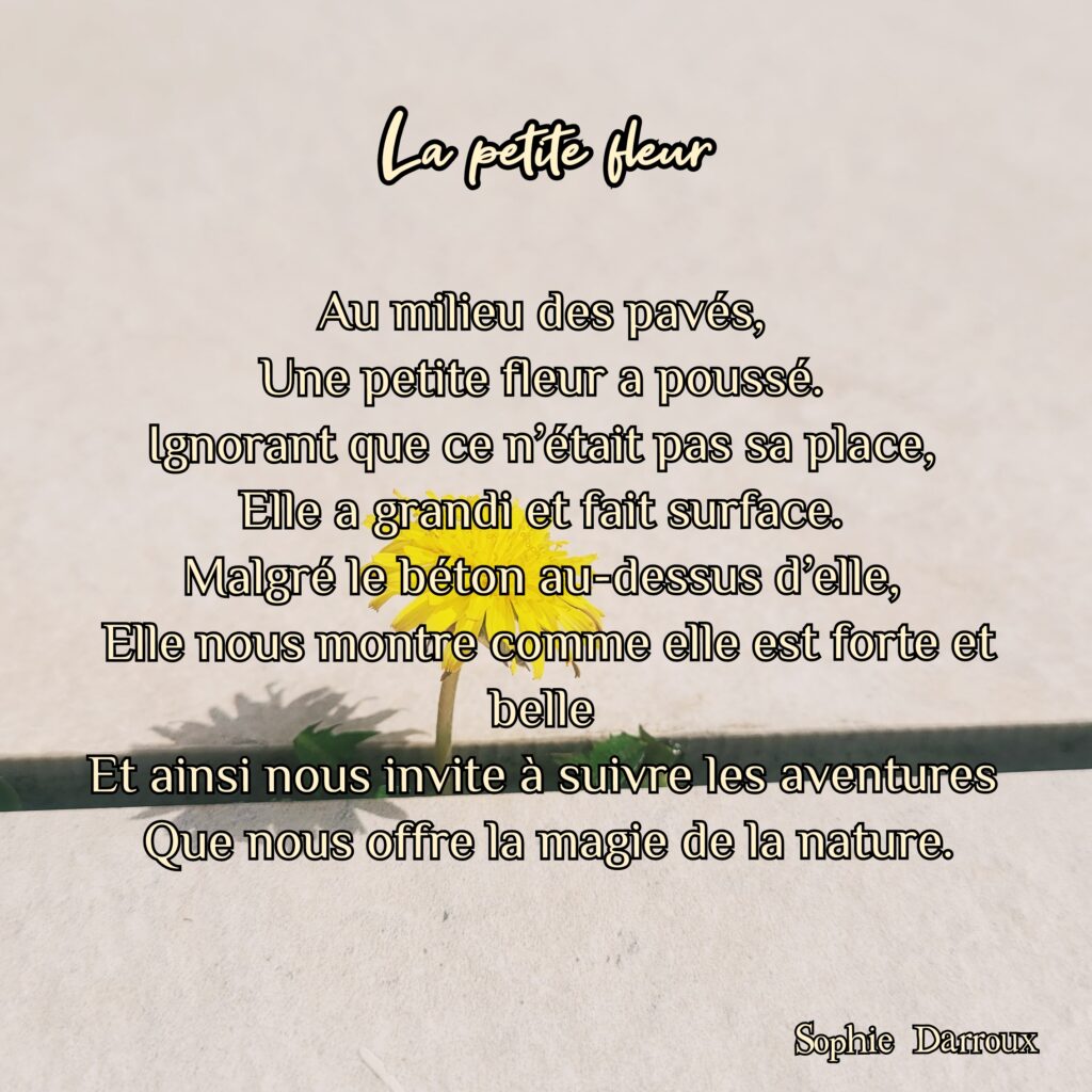 Texte en écriture intuitive tiré de Inspirations lumineuses de Sophie Darroux